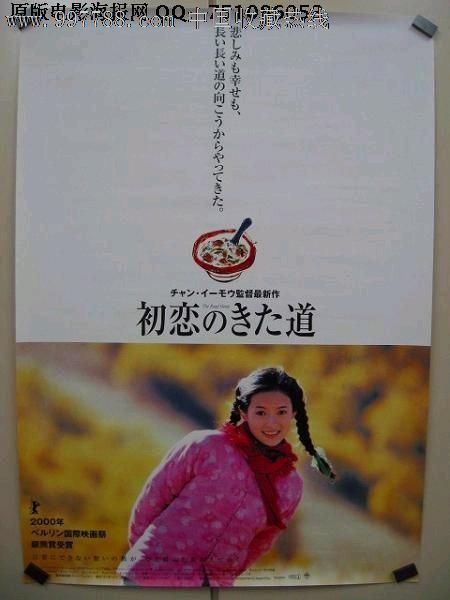 松明ガーデン大学ElectronicEngineeringDegreeCertificate
